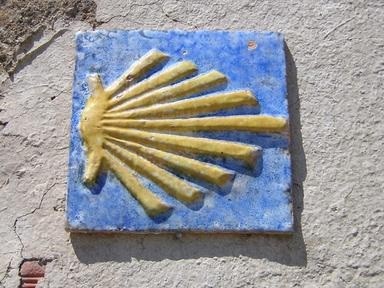 pilgrimsmussla stilistisk