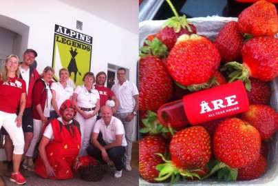 Årebesök